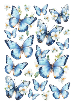 Motivtransfer, Bügelmotiv in A4 - Blaue Schmetterlinge - BTR-001